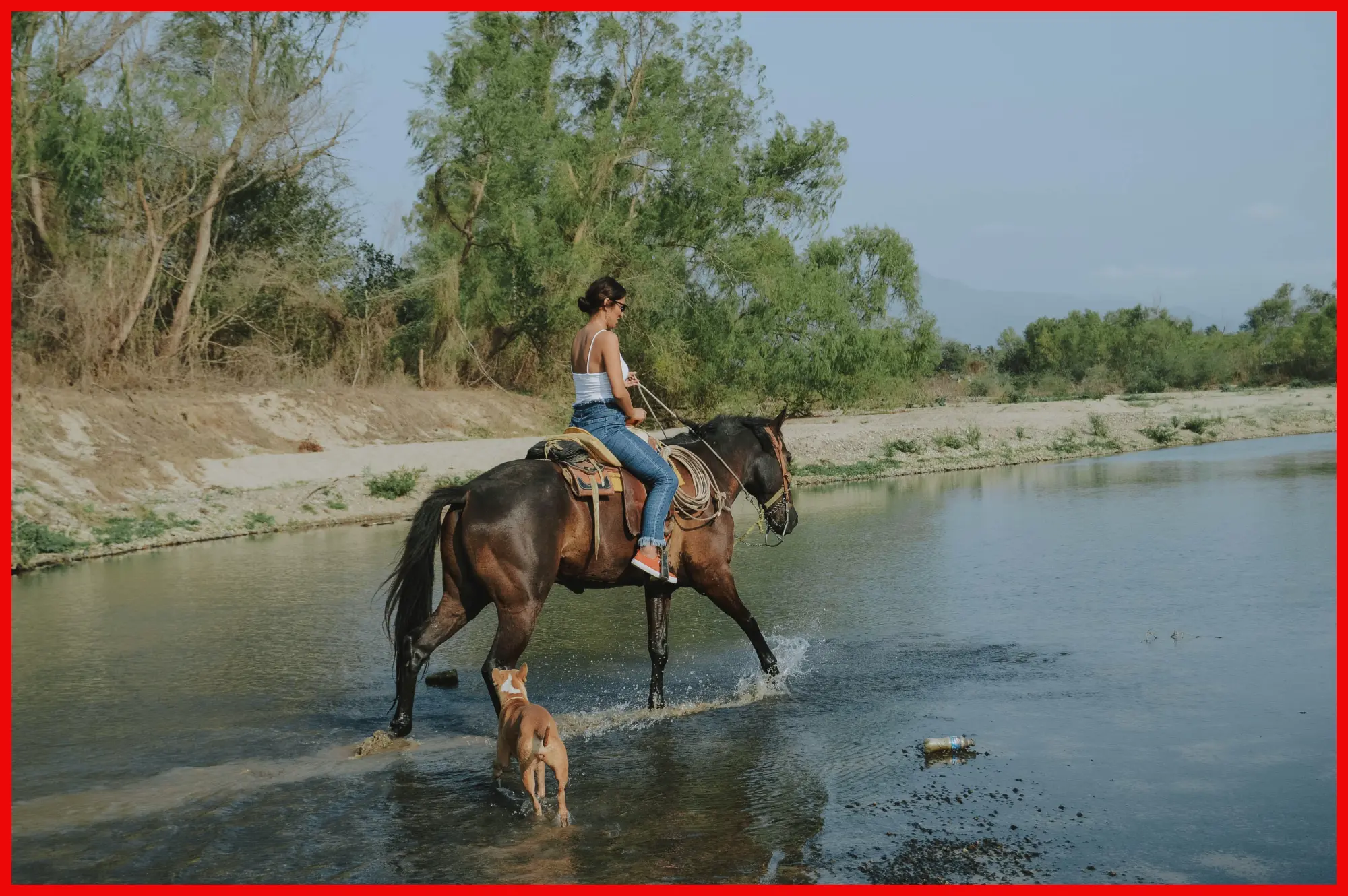 A person riding a horse across a shallow river followed by a loyal dog, with lush greenery framing the serene scene.
