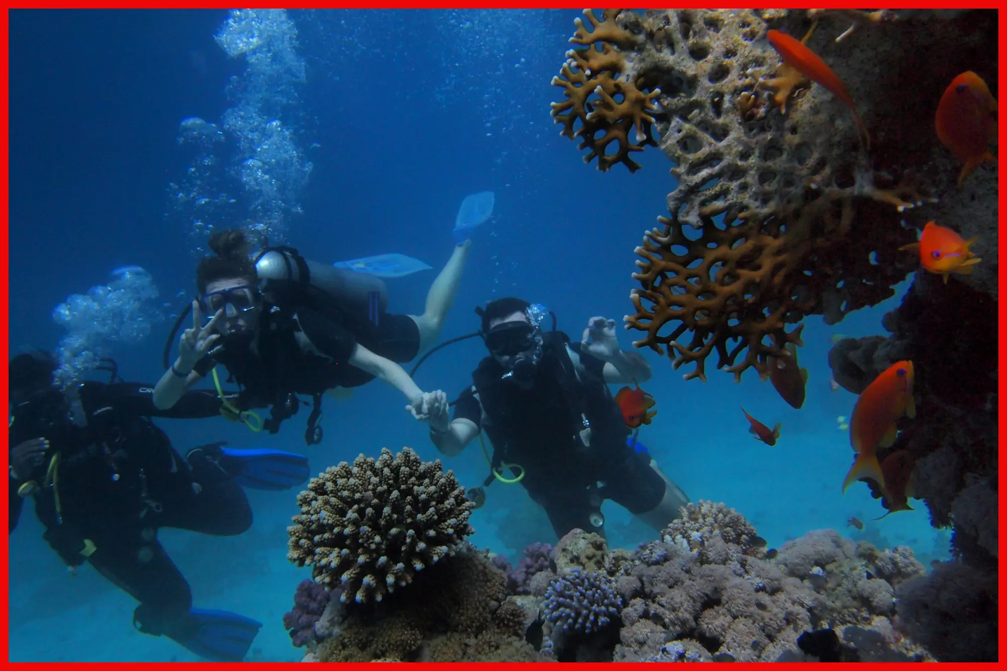 Ultimate Guide to Diving in Corfu | Explore Now!