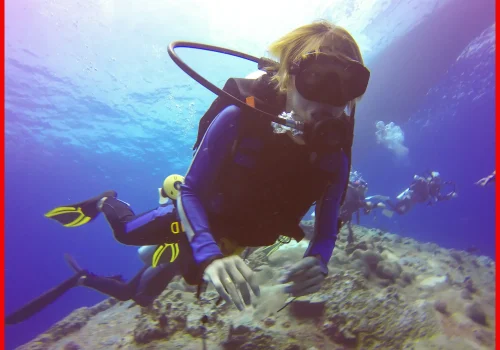 A scuba diver in a blue wetsuit and yellow fins touches the sea floor, surrounded by crystal-clear water and fellow divers in the background.