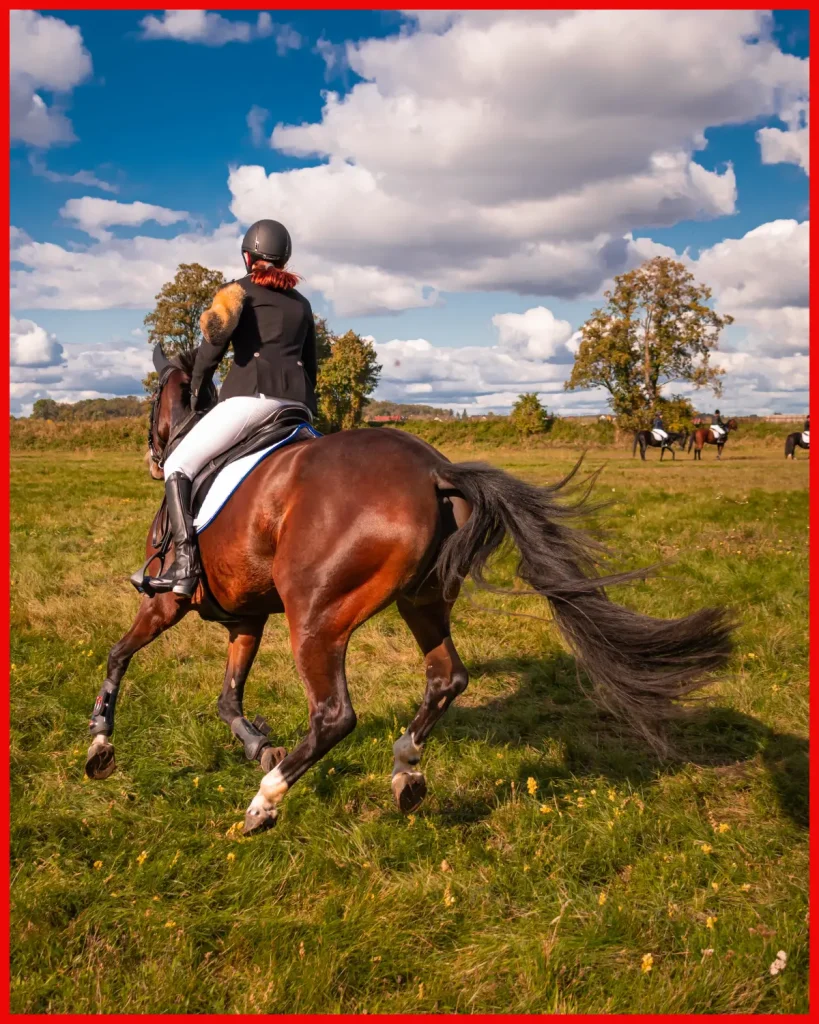 A rider in formal equestrian attire gallops across a sunlit field, showcasing the dynamic beauty and poise of horseback riding.