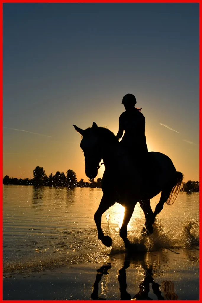 A rider and horse cut a striking silhouette against a golden sunset reflected on the water's surface, creating a scene of tranquil beauty.